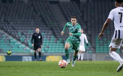Elšnik na reprezentančni zbor z golom
