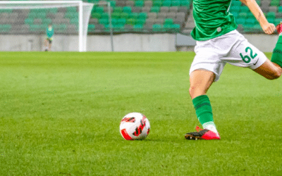 Danes prva tekma: V Rovinju bo nasprotnik Dinamo, zmaji brez večjih težav