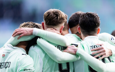 Prvi voden ogled stadiona Stožice